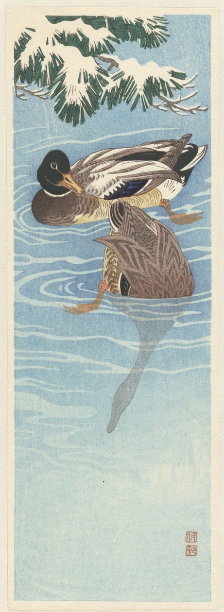 Kaksi villiankkaa vedessä od Ohara Koson