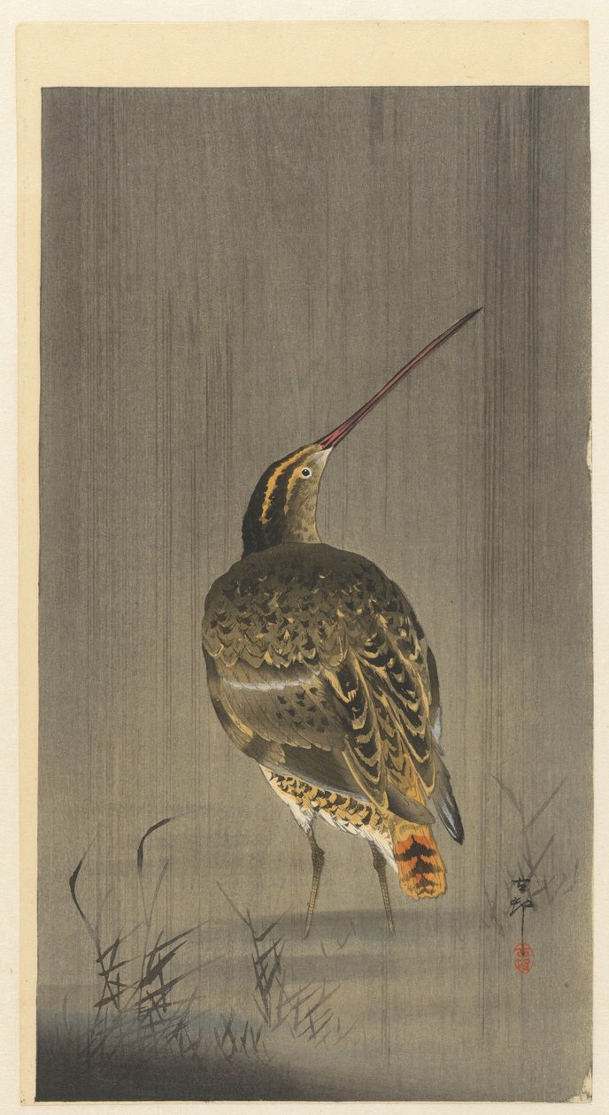 Snipe v dešti od Ohara Koson