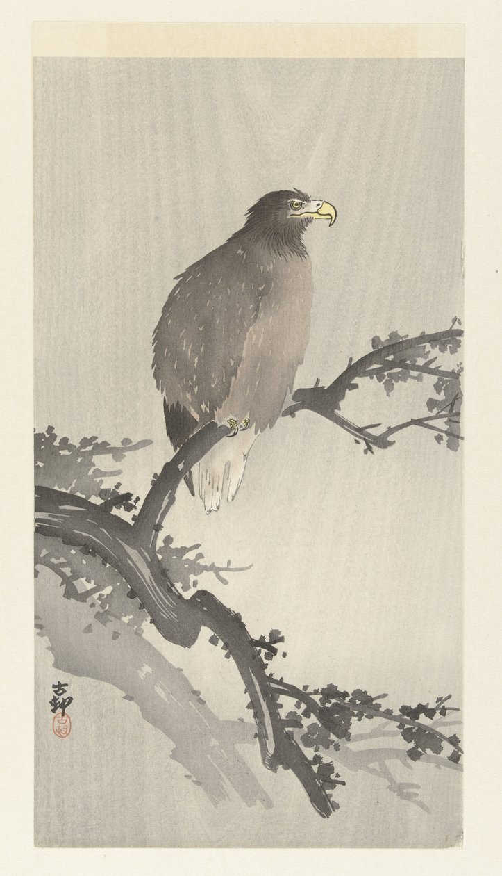 Orel bělohlavý na větvi od Ohara Koson