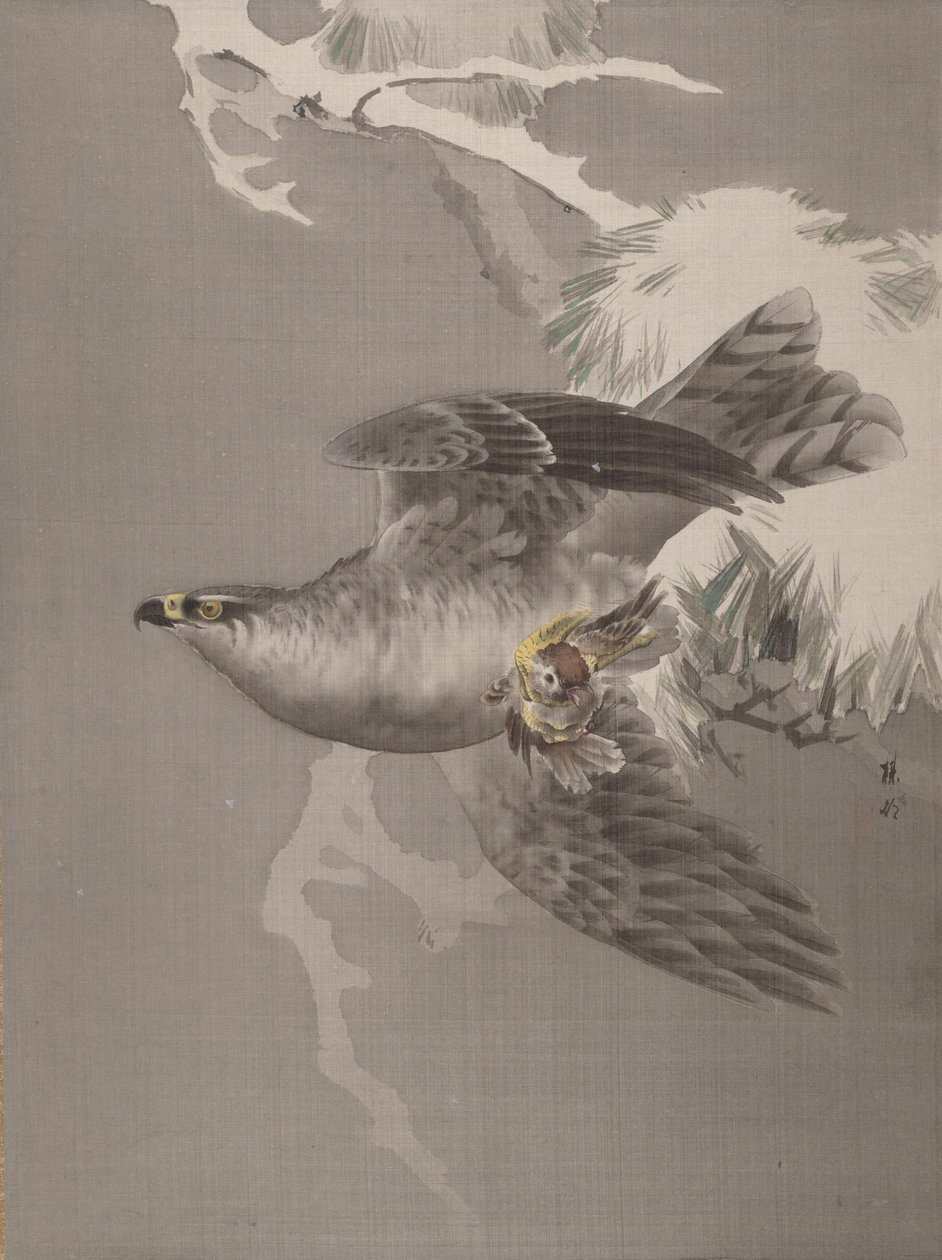 Hawk Holding a Small Bird, ca. 1891-92. od Okada Baison