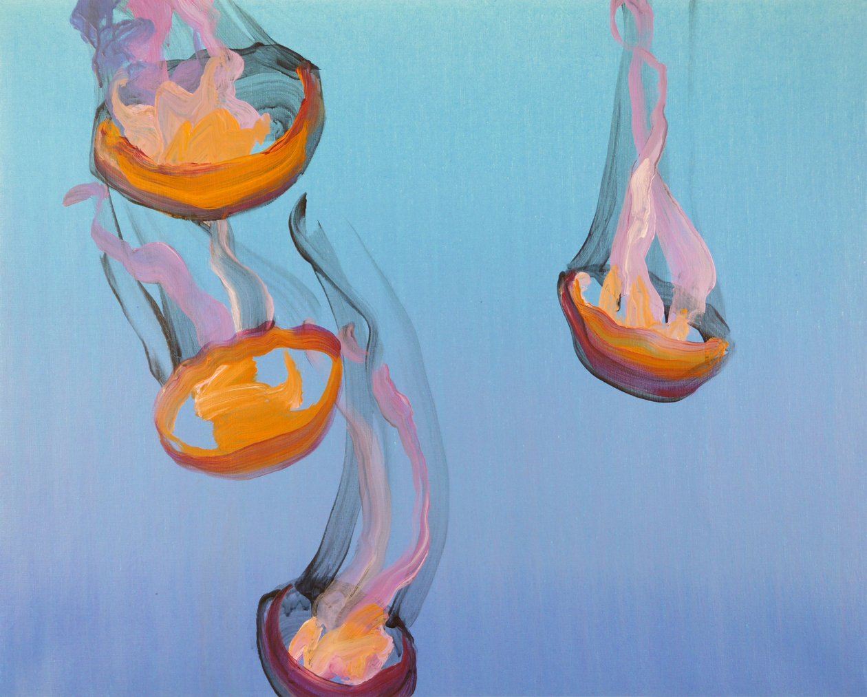 Méduses 13, 2013 (akryl na plátně) od Olivier Morel