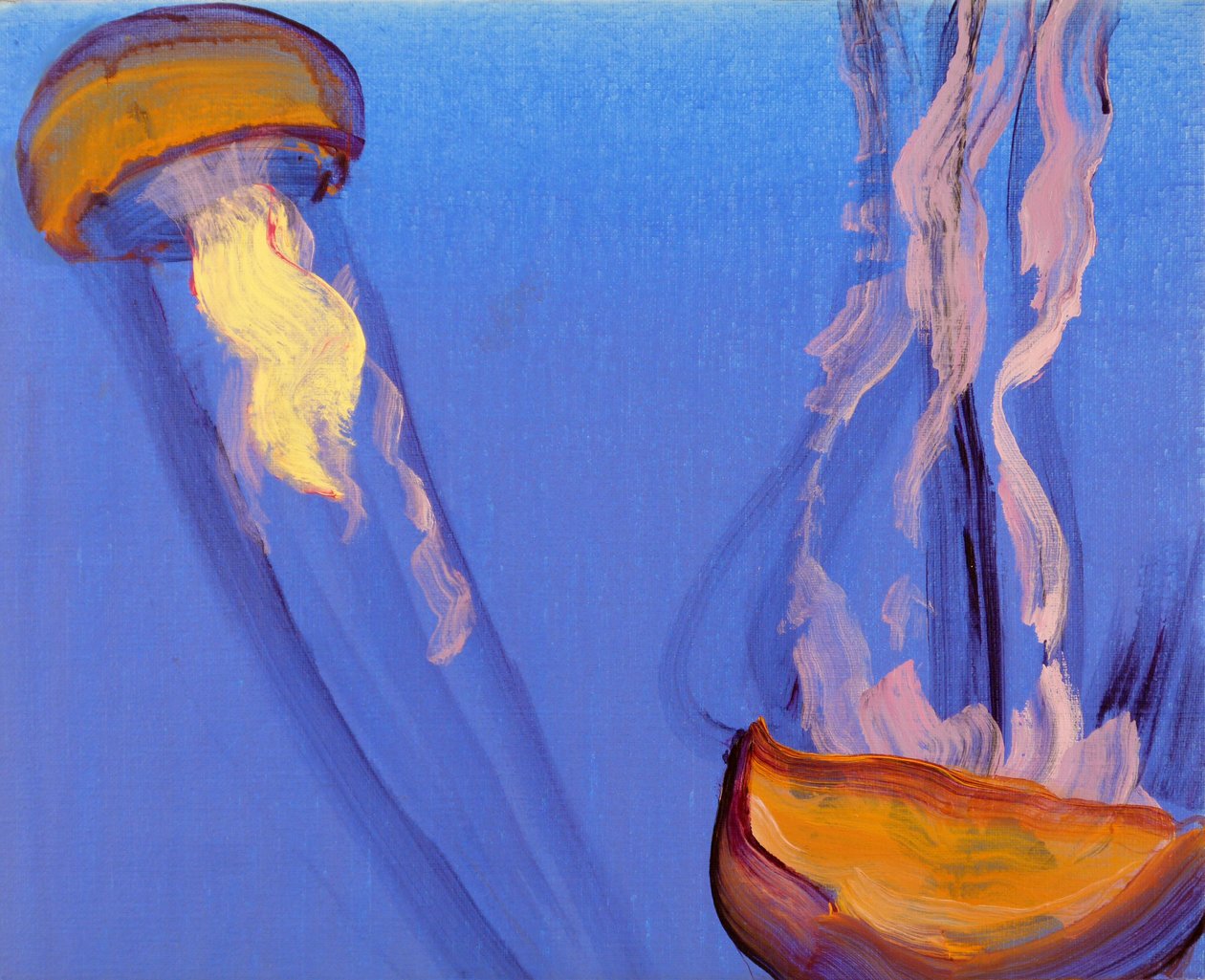 Méduses 7, 2013 (akryl na plátně) od Olivier Morel