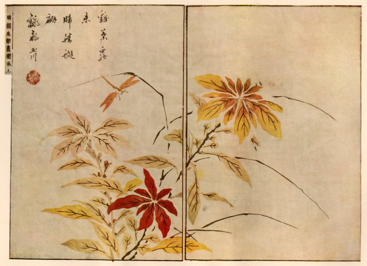 Vážka s rostlinami, 1746, 1924. od Ooka Shunboku