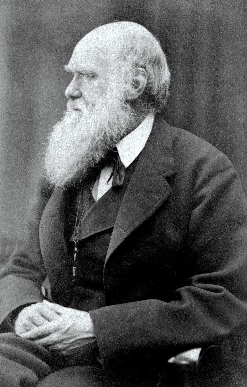 Charles Darwin, 1875 od Oscar Gustav Rejlander