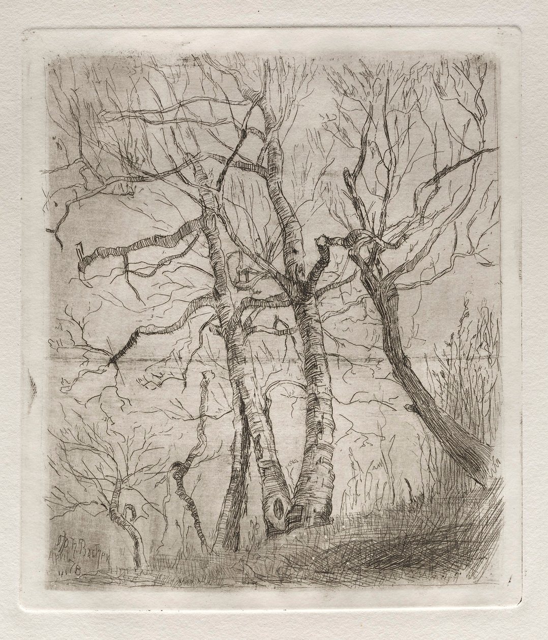 Stromy, 1878. od Otto H. Bacher