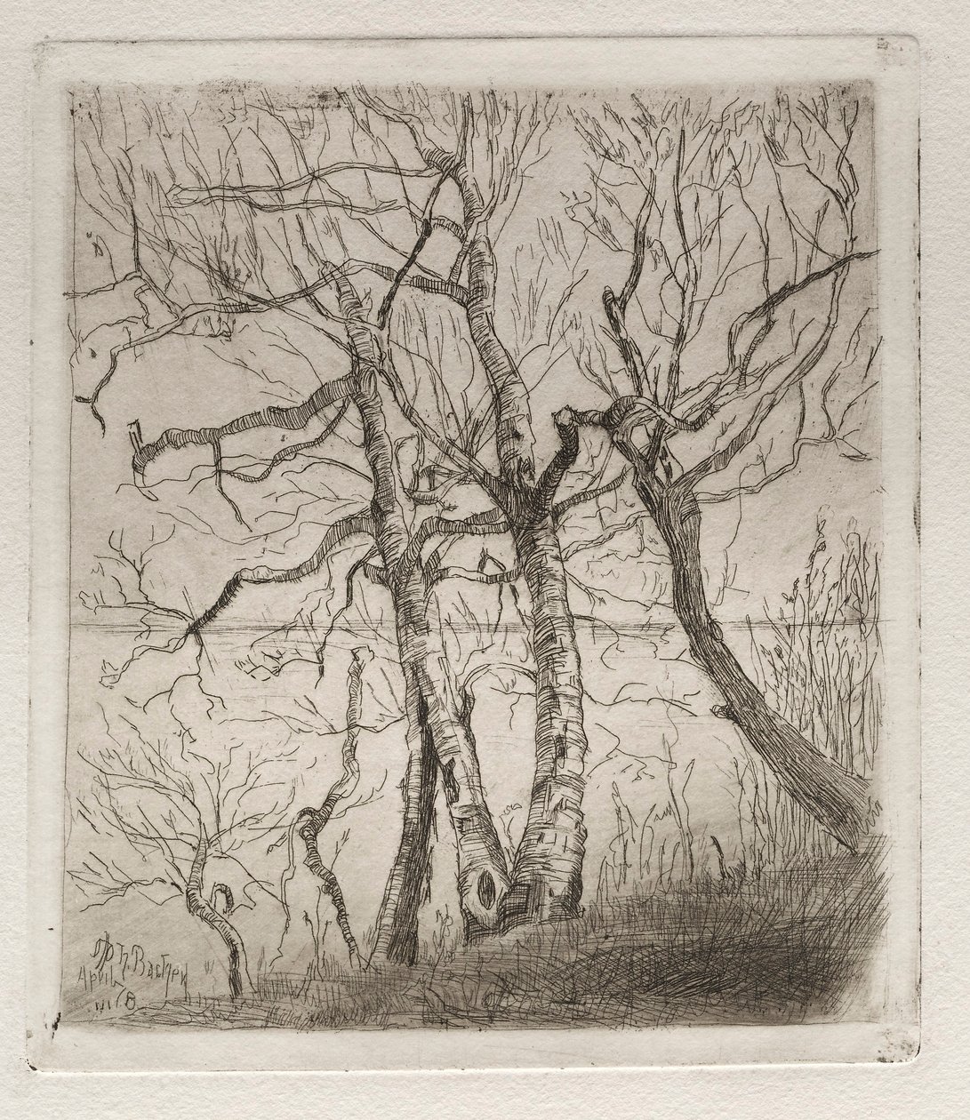 Woods by the Lake, 1878. od Otto H. Bacher
