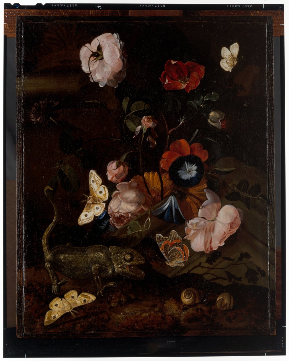 Metsän asetelma od Otto Marseus  van Schrieck