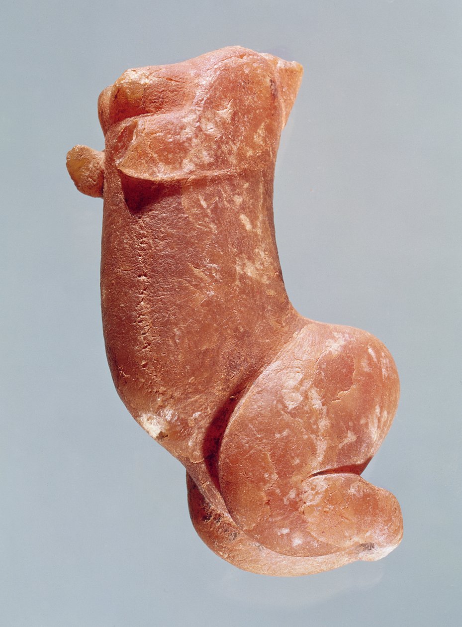 Řezba mladé dívky, známá jako Venuše ze Sireuil, 35000-8000 př.nl od Paleolithic