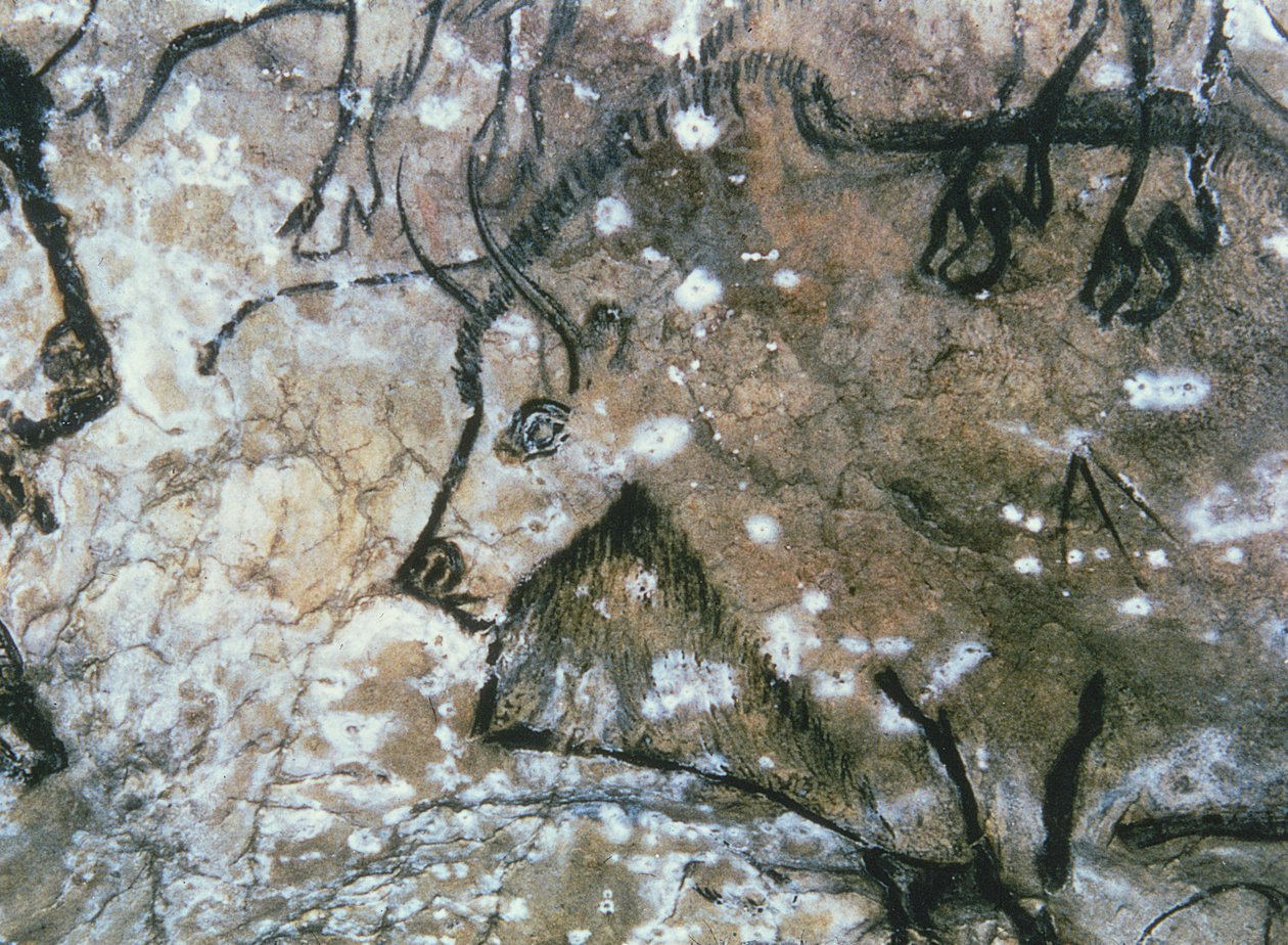 Zraněný býk, skalní malba, magdalénien (jeskynní malba) od Paleolithic Paleolithic