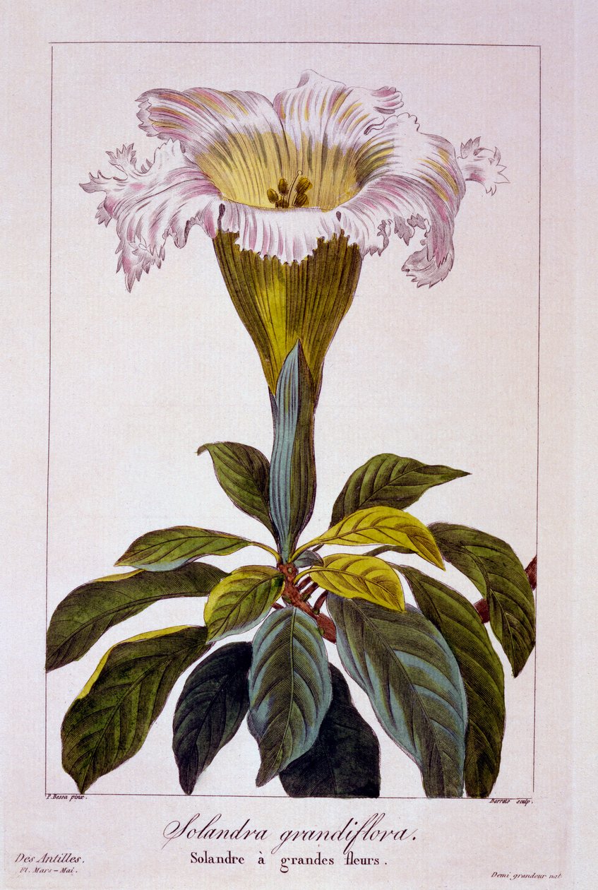 Kalich Vine, hospoda. 1836. od Panacre Bessa