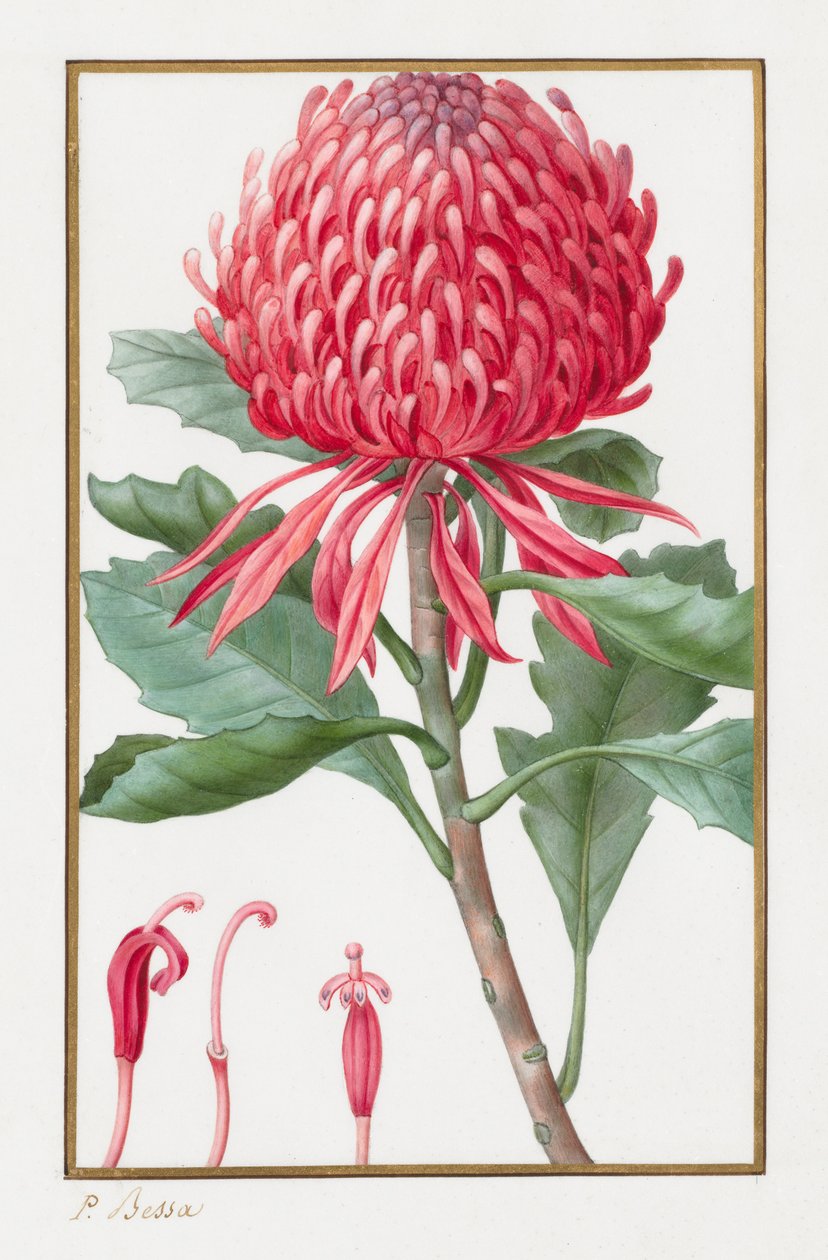 Bez názvu, 1828-1835. od Pancrace Bessa