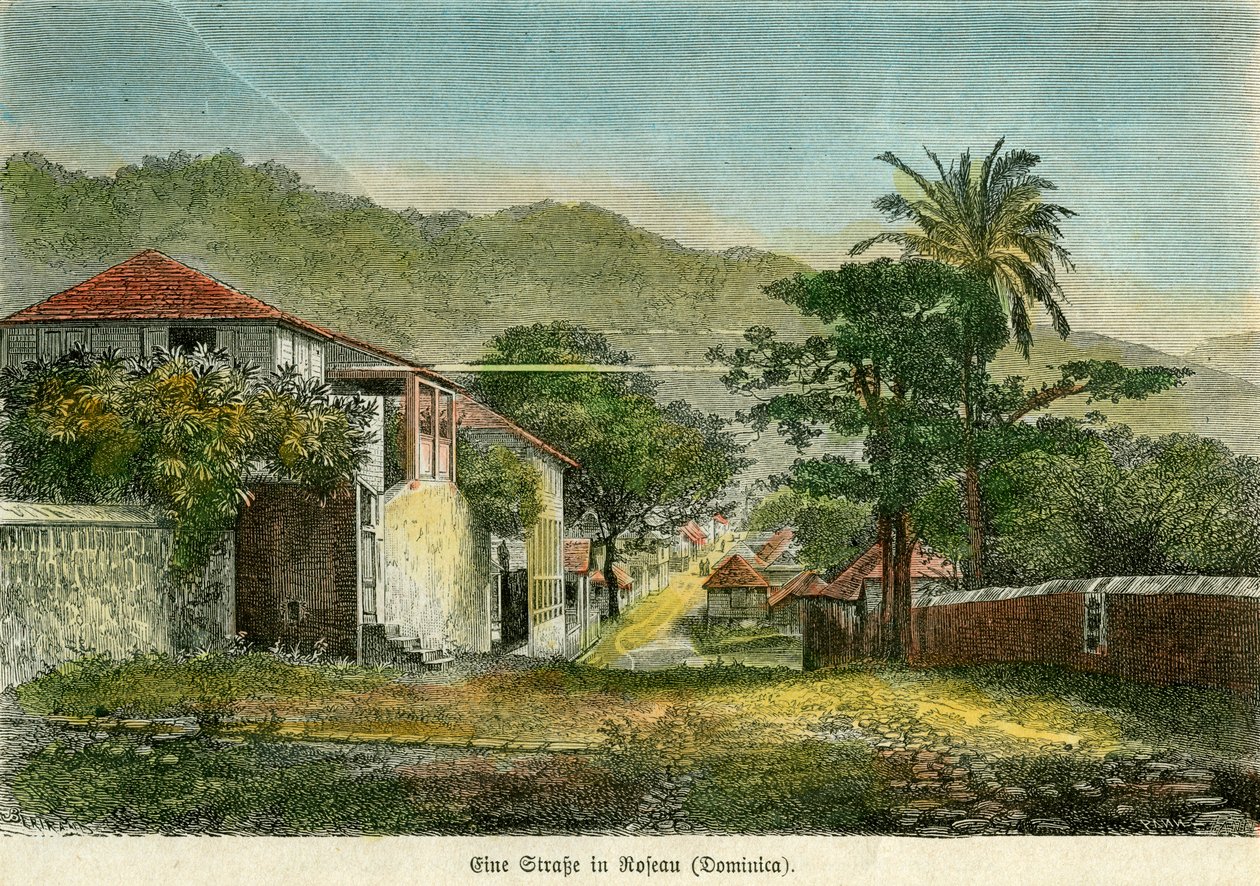 Ulice v Roseau, Dominika, c1880. od Pann