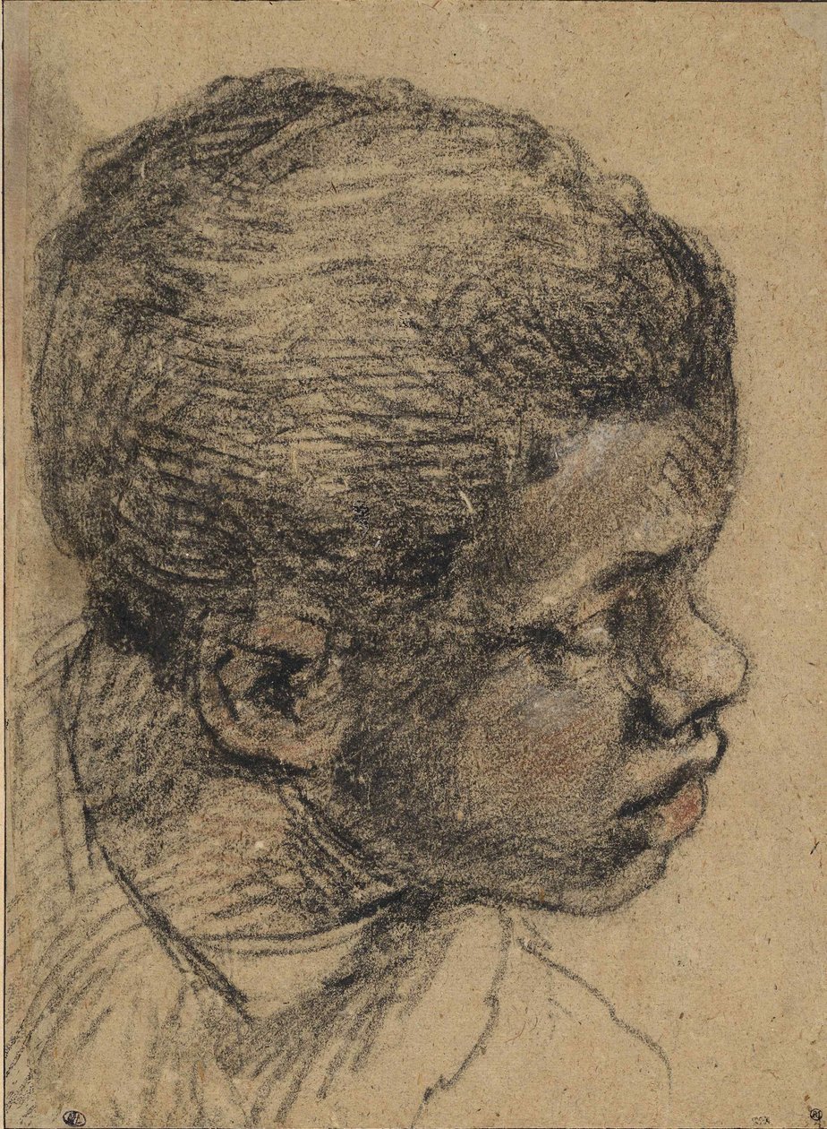 Hlava černého chlapce, 16. století. od Paolo Veronese