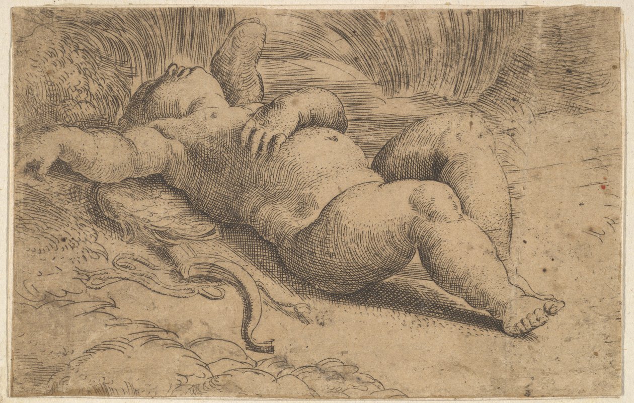Amor Spící, 16. století. od Parmigianino