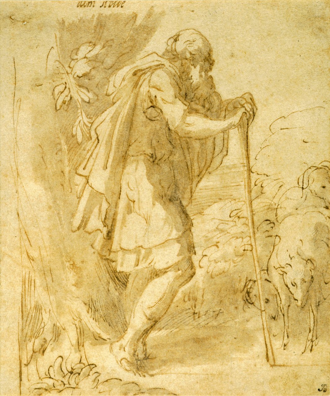 Starý ovčák opírající se o hůl od Parmigianino