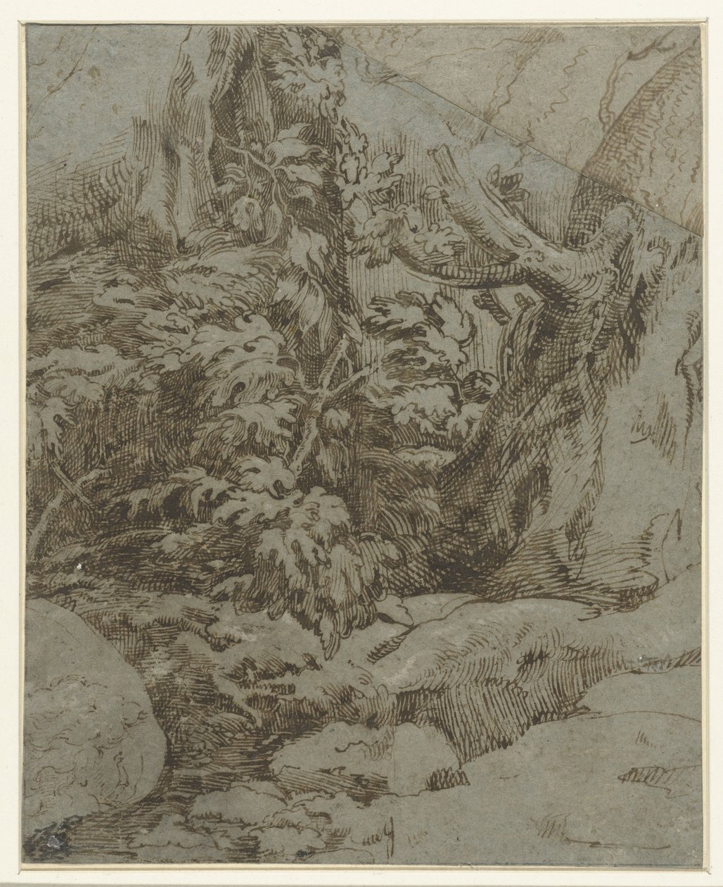 Studium krajiny od Parmigianino