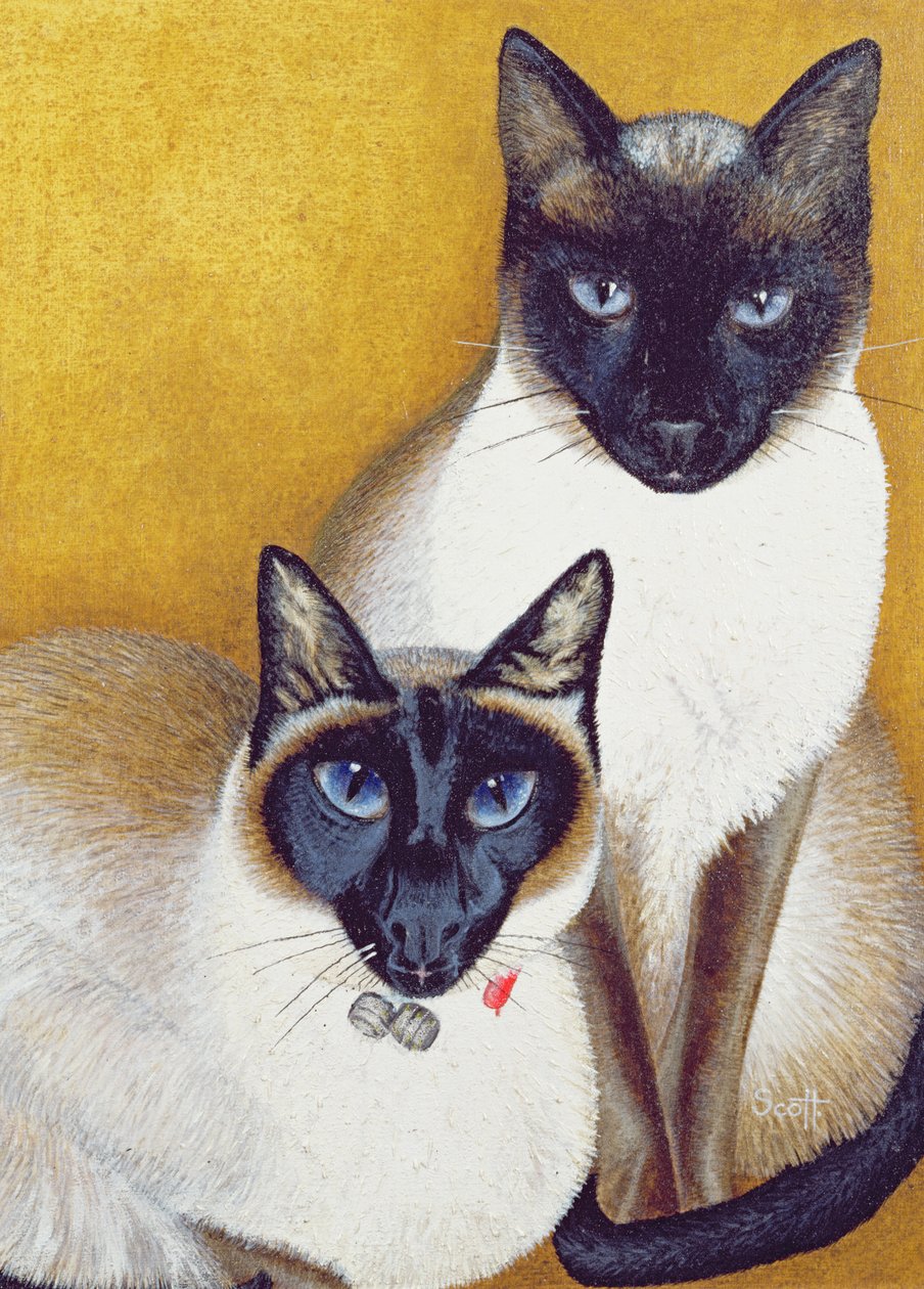 Mavis a Barnaby od Pat Scott