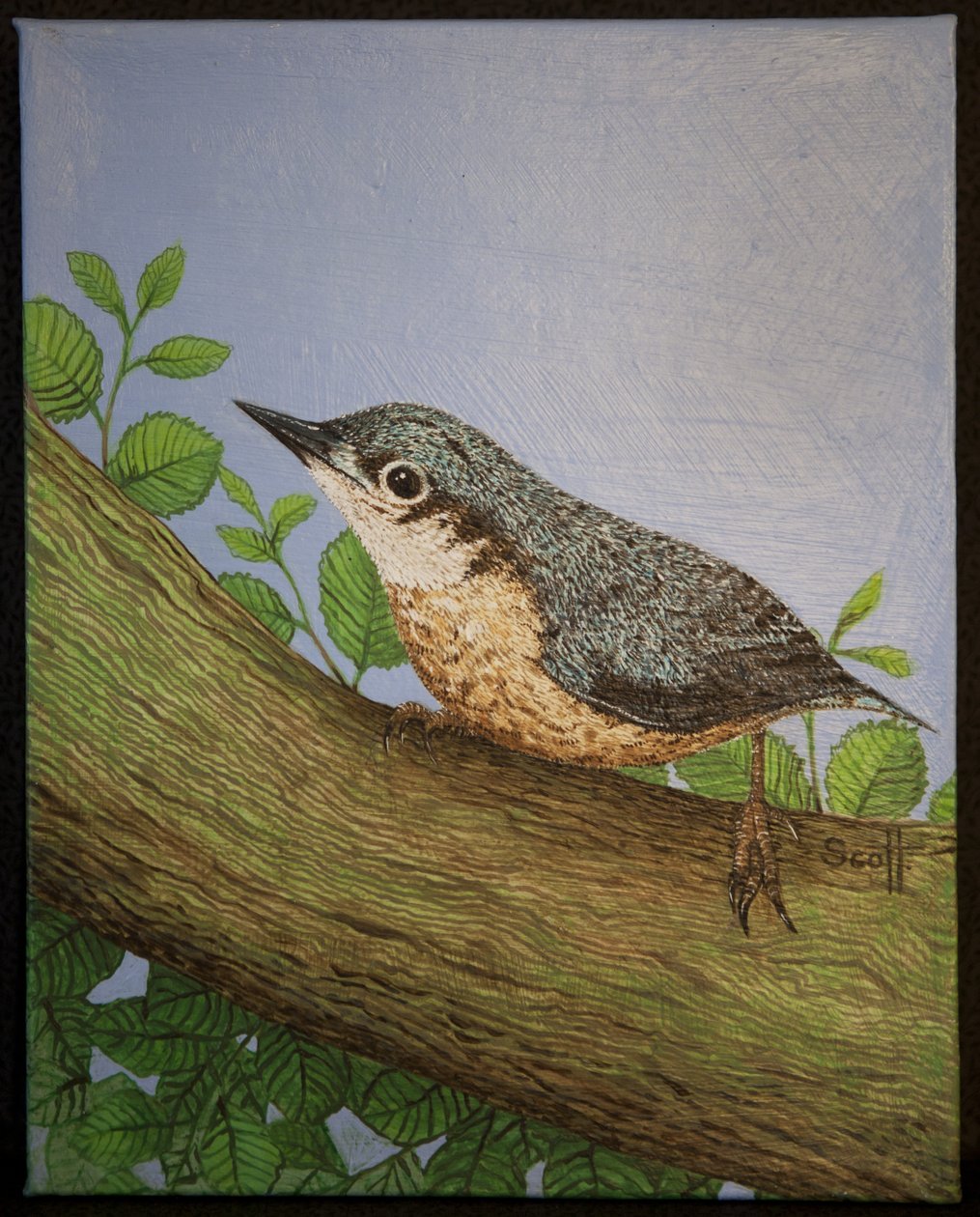 Nuthatch, 2016 od Pat Scott