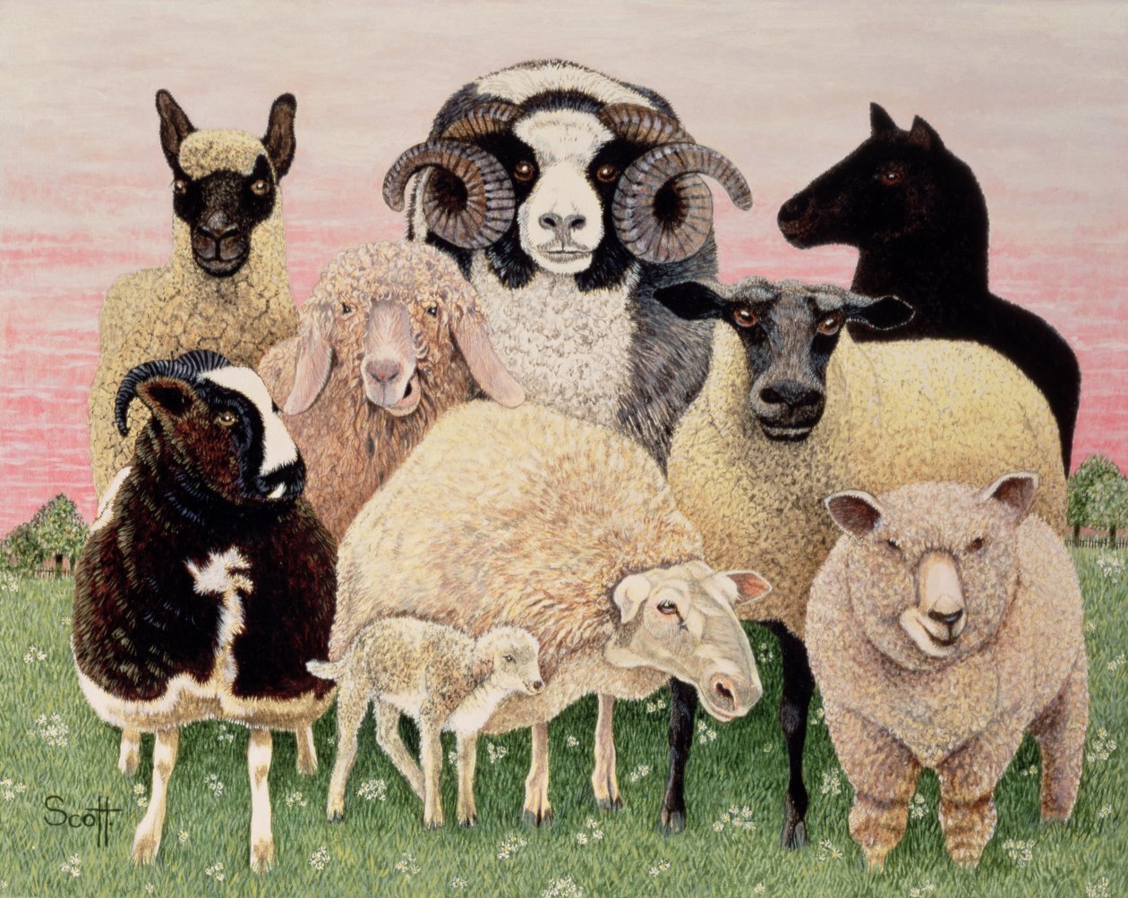 Shepherds Delight od Pat Scott