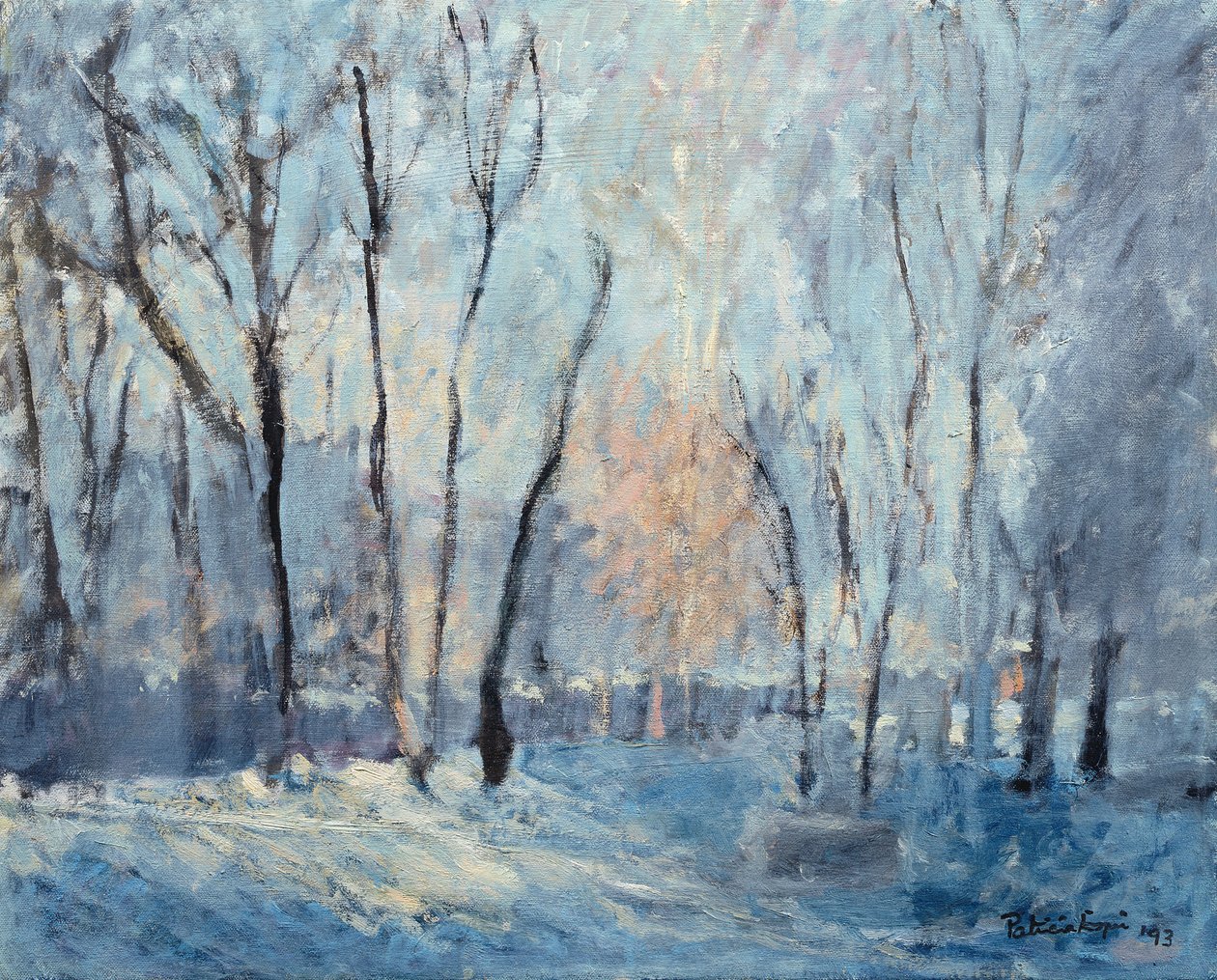 Sníh v zahradě, 1993 od Patricia Espir