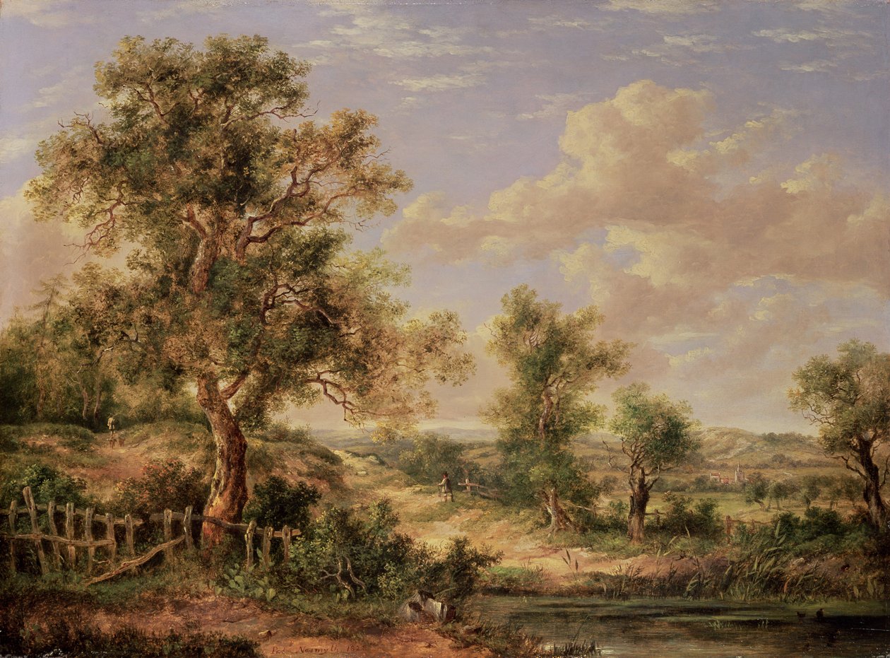 Krajina, 19. století od Patrick Nasmyth