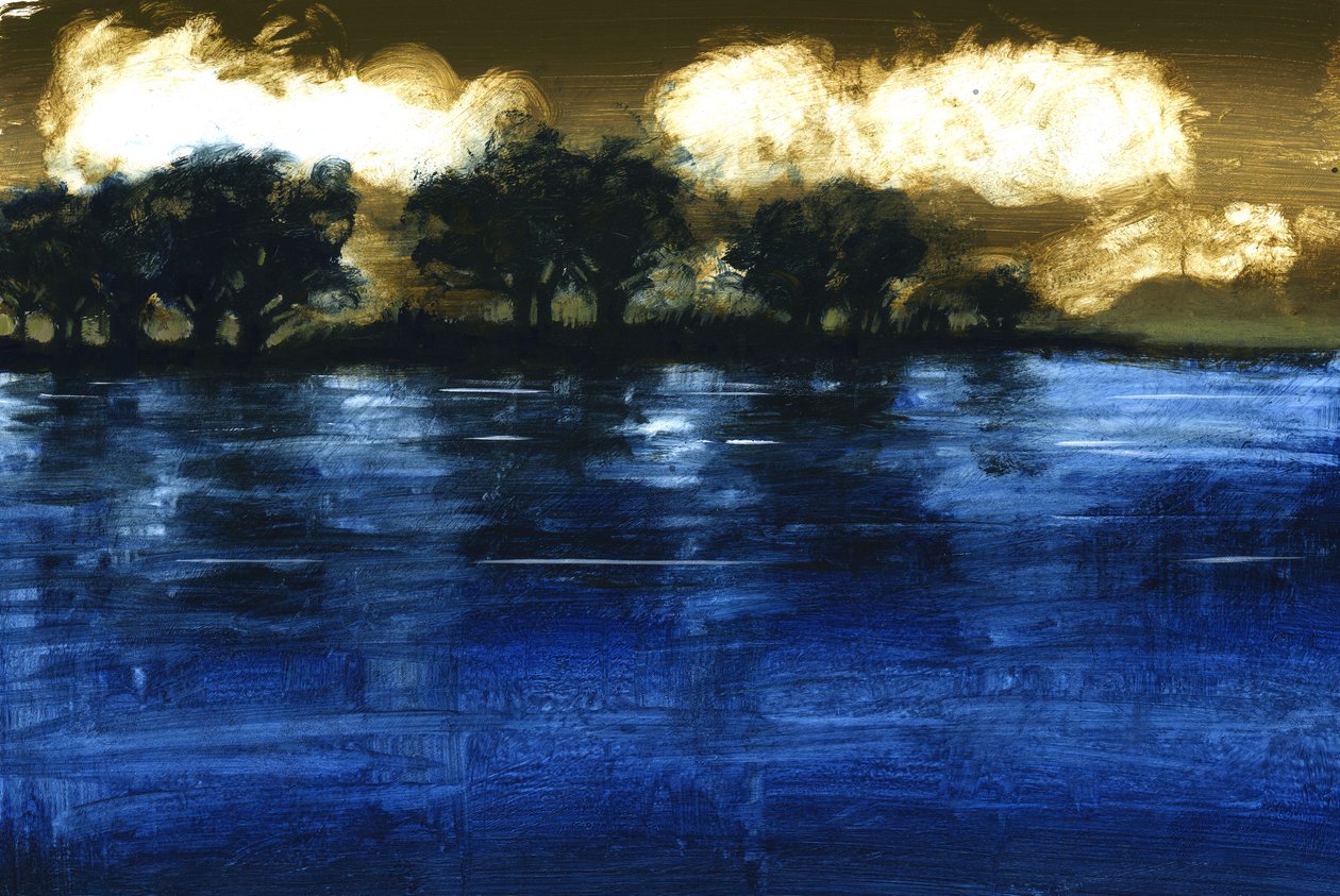 Povodeň, 2009 (akryl na desce) od Paul Powis
