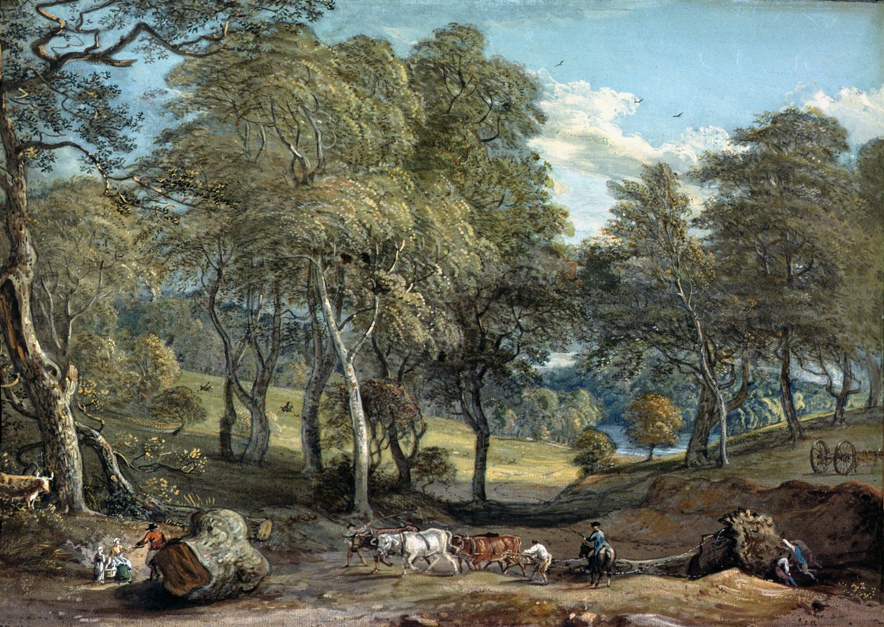 Windsorský les s voly kreslícím dřívím, 1798 od Paul Sandby