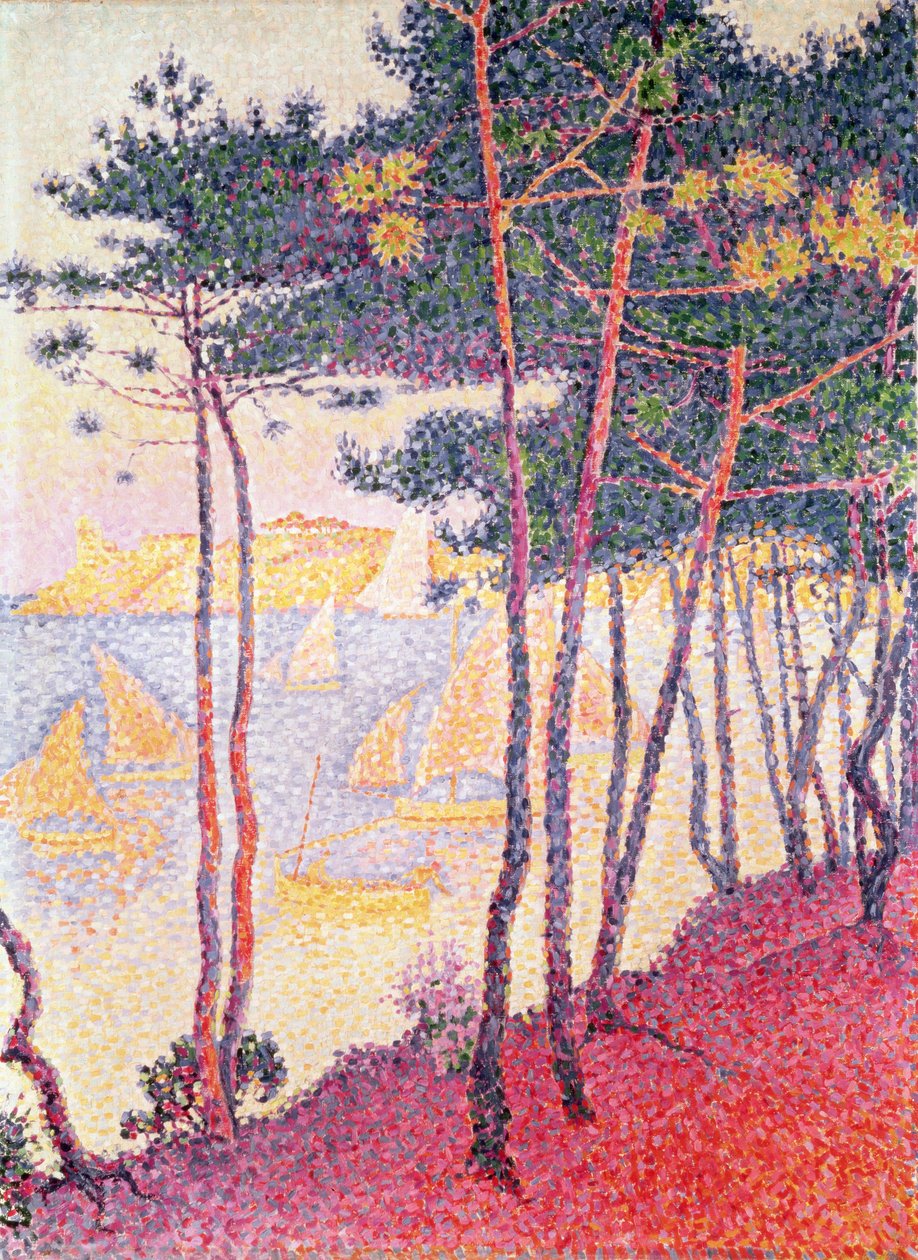 Plachetnice a borovice, 1896 od Paul Signac