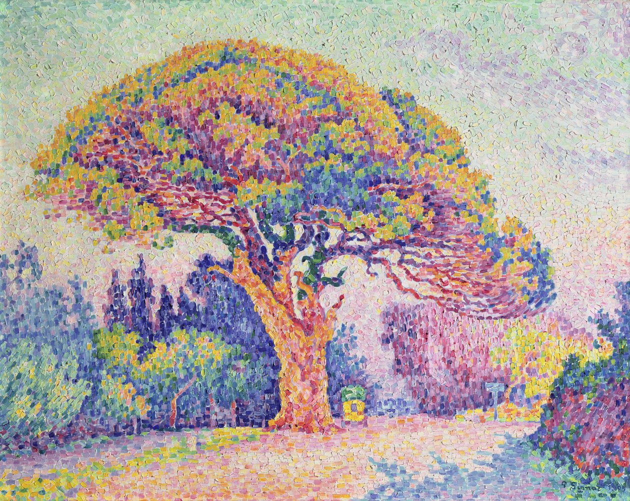 Borovice v St. Tropez, 1909 od Paul Signac