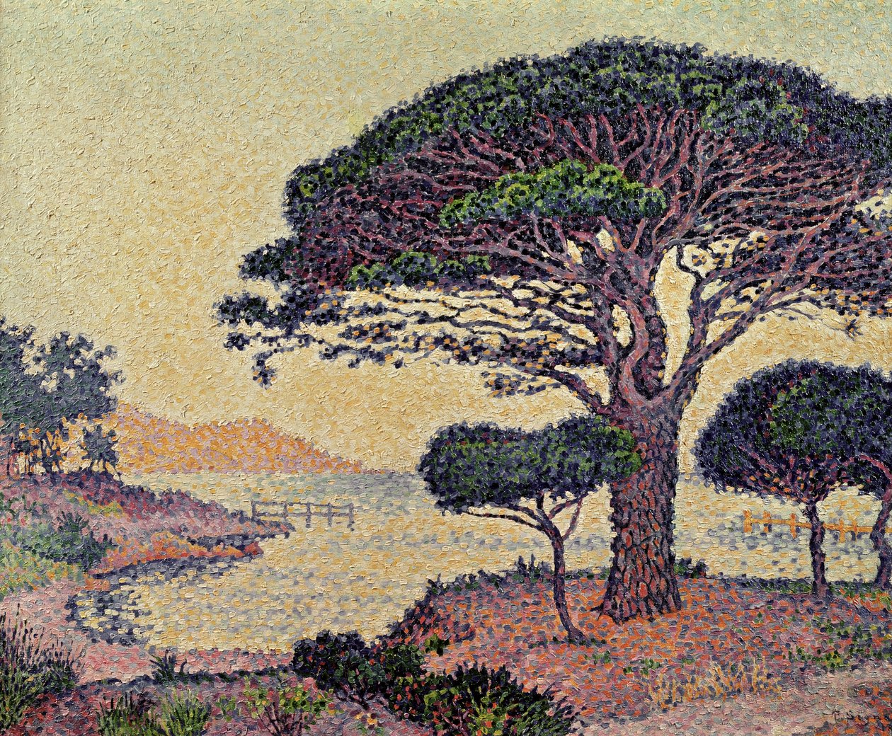 Umbrella Pines v Caroubiers, 1898 od Paul Signac