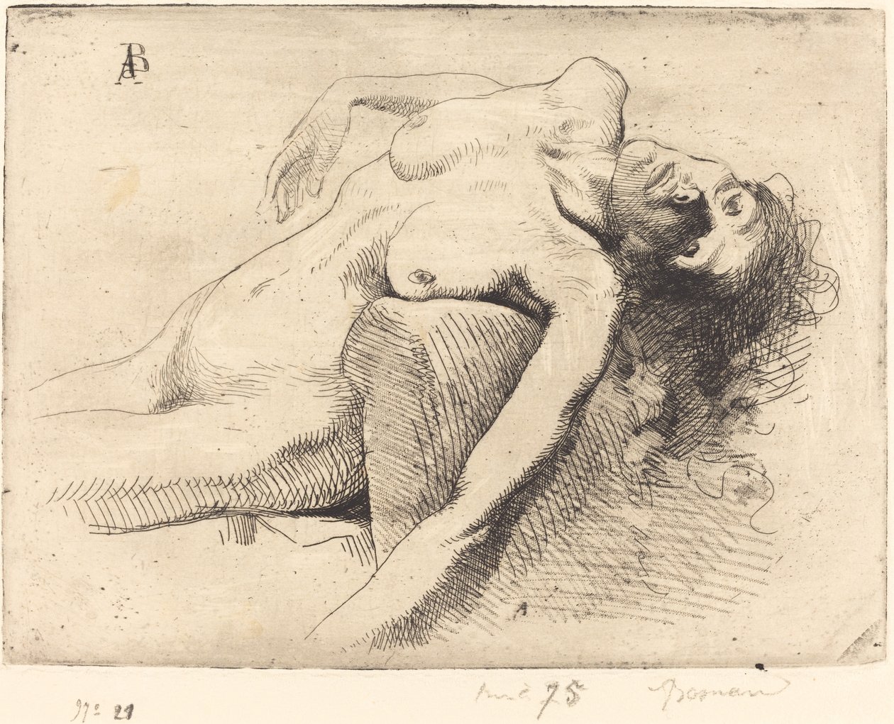 Umírající žena Umírající žena, 1885. od Paul Albert Besnard