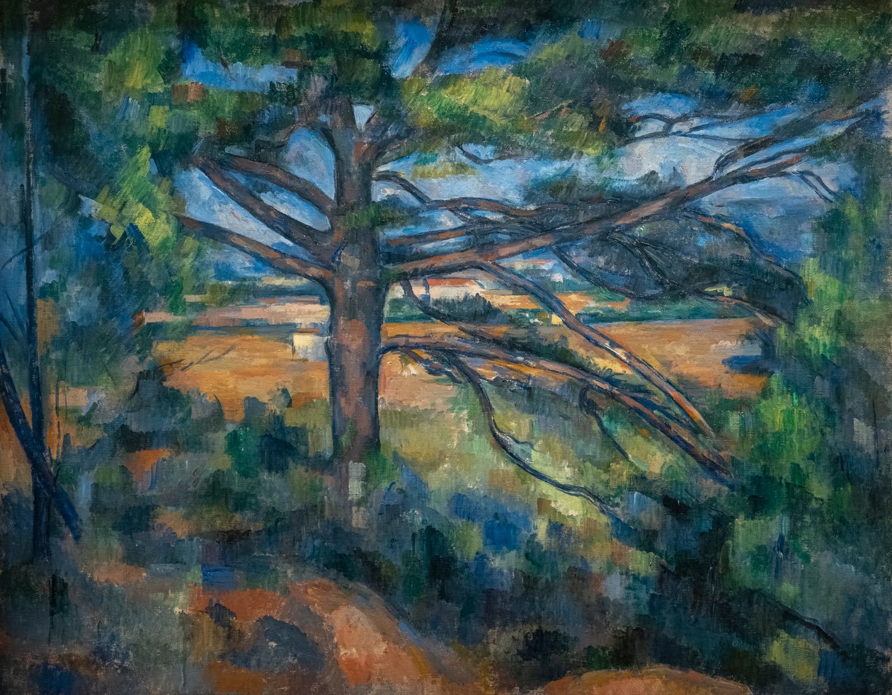 Great Pine poblíž Aix od Paul Cézanne