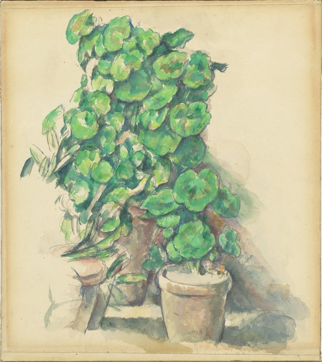 Muškáty od Paul Cézanne