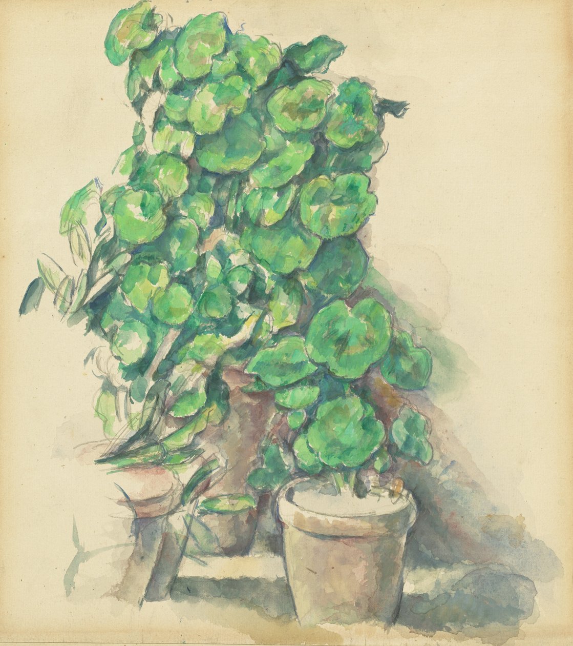 Muškáty, 18881890. od Paul Cézanne