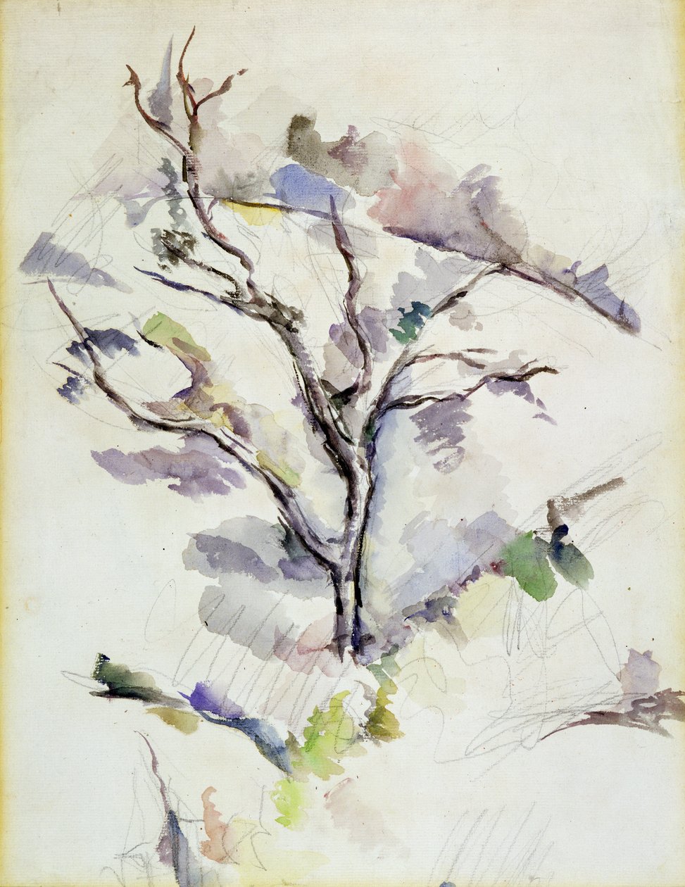 Dub od Paul Cézanne