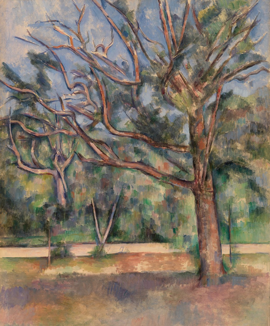 Stromy a silnice (Arbres et route) od Paul Cézanne