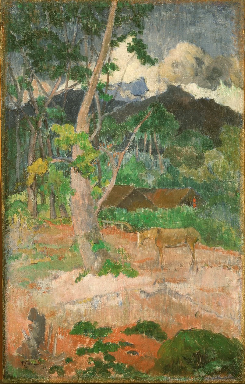 Krajina s koněm od Paul Gauguin