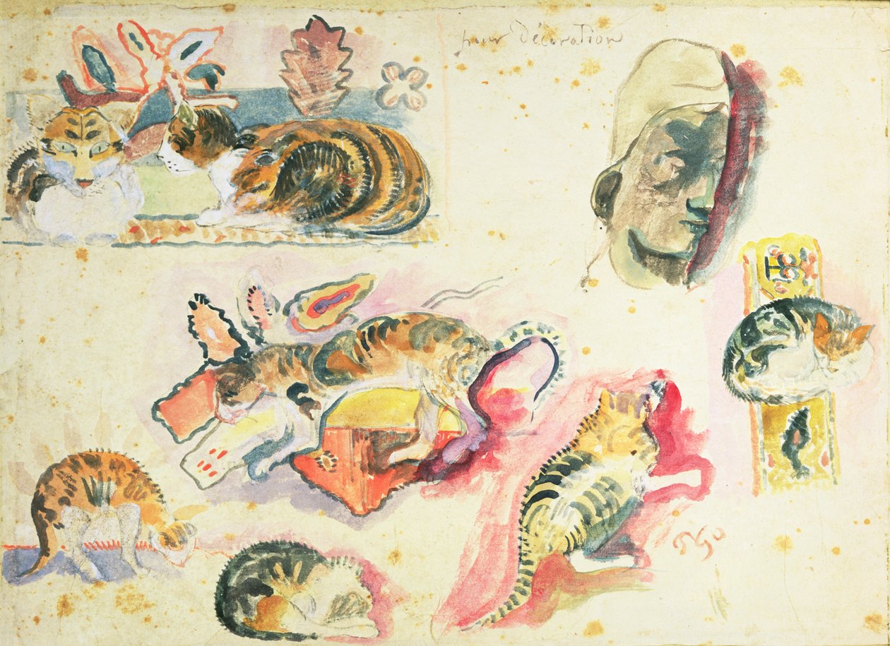 Studie koček a hlavy od Paul Gauguin
