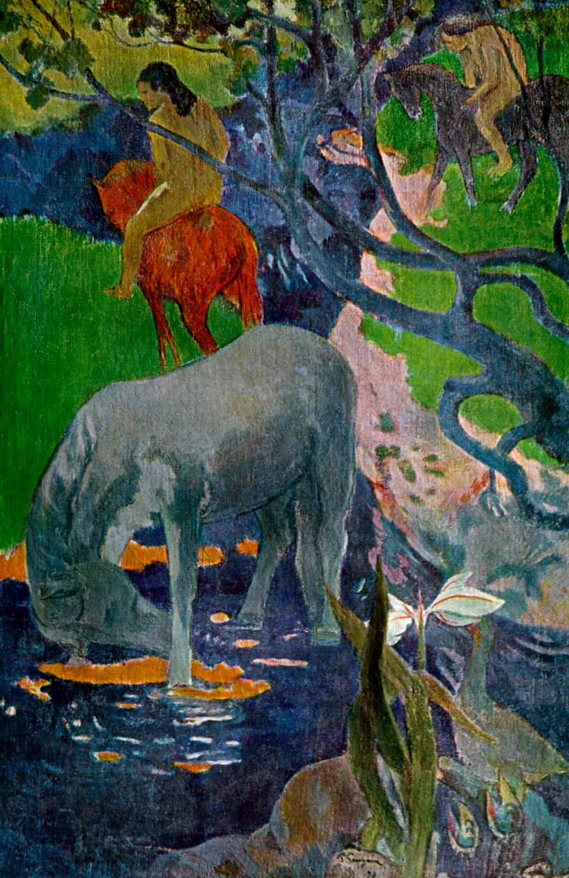 Bílý kůň, 1898 1939. od Paul Gauguin