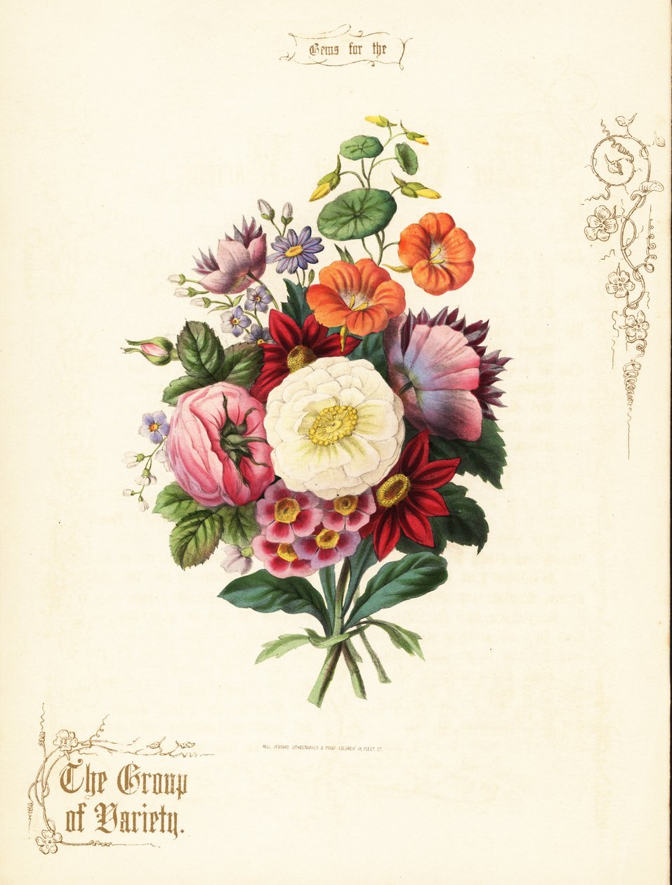 Kytice z bílé růže, jiřina, lichořeřišnice, ušní boltec. od Paul Jerrard