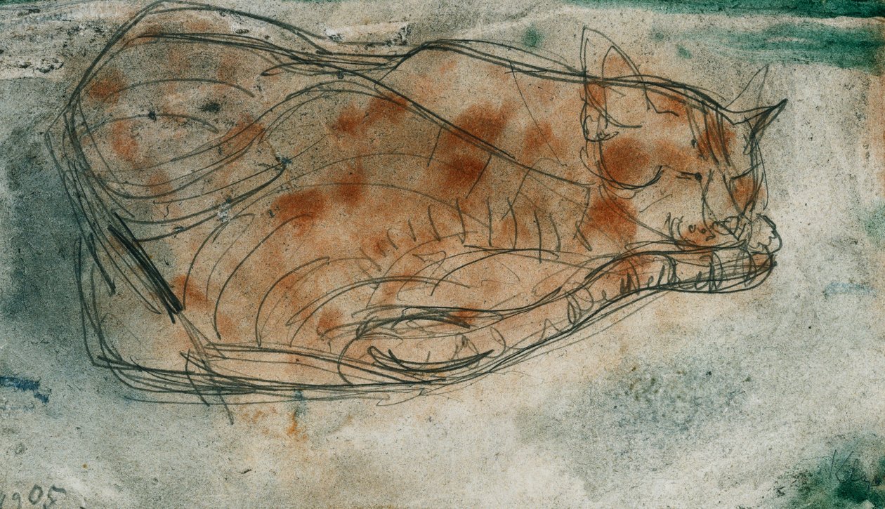 Spící kočka; Spící kočka od Paul Klee