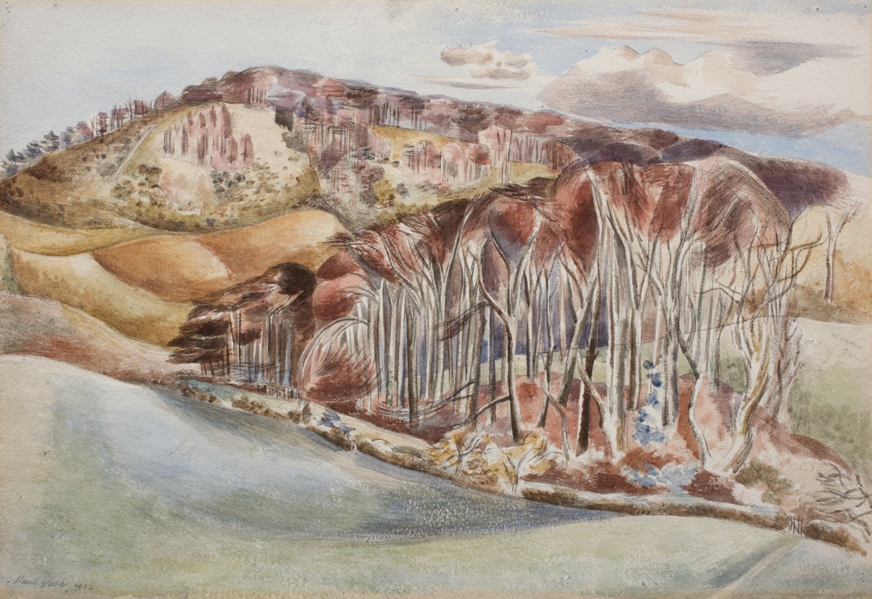 Wood a Hill od Paul Nash