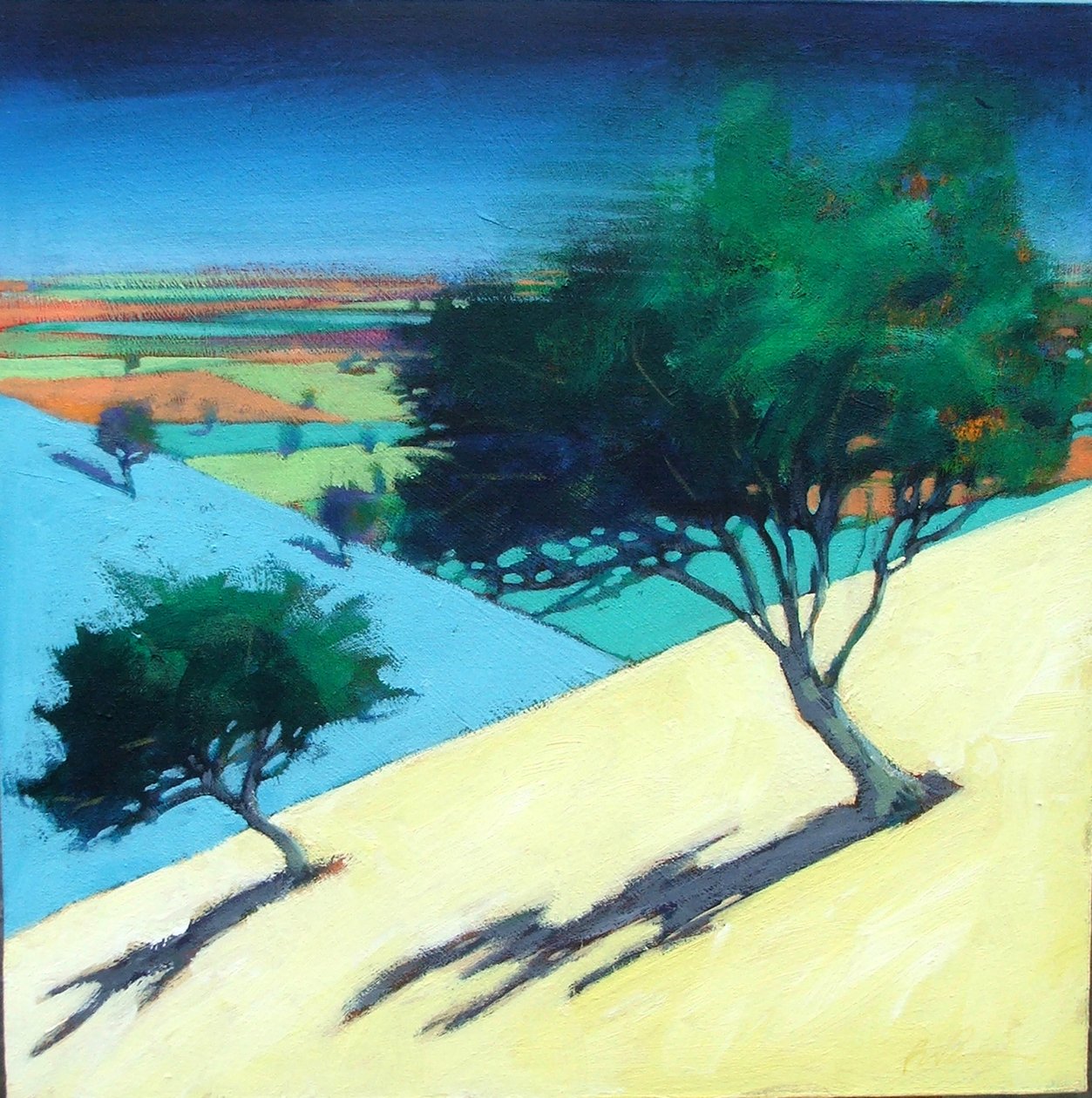 Hillside (akryl na kartě) od Paul Powis