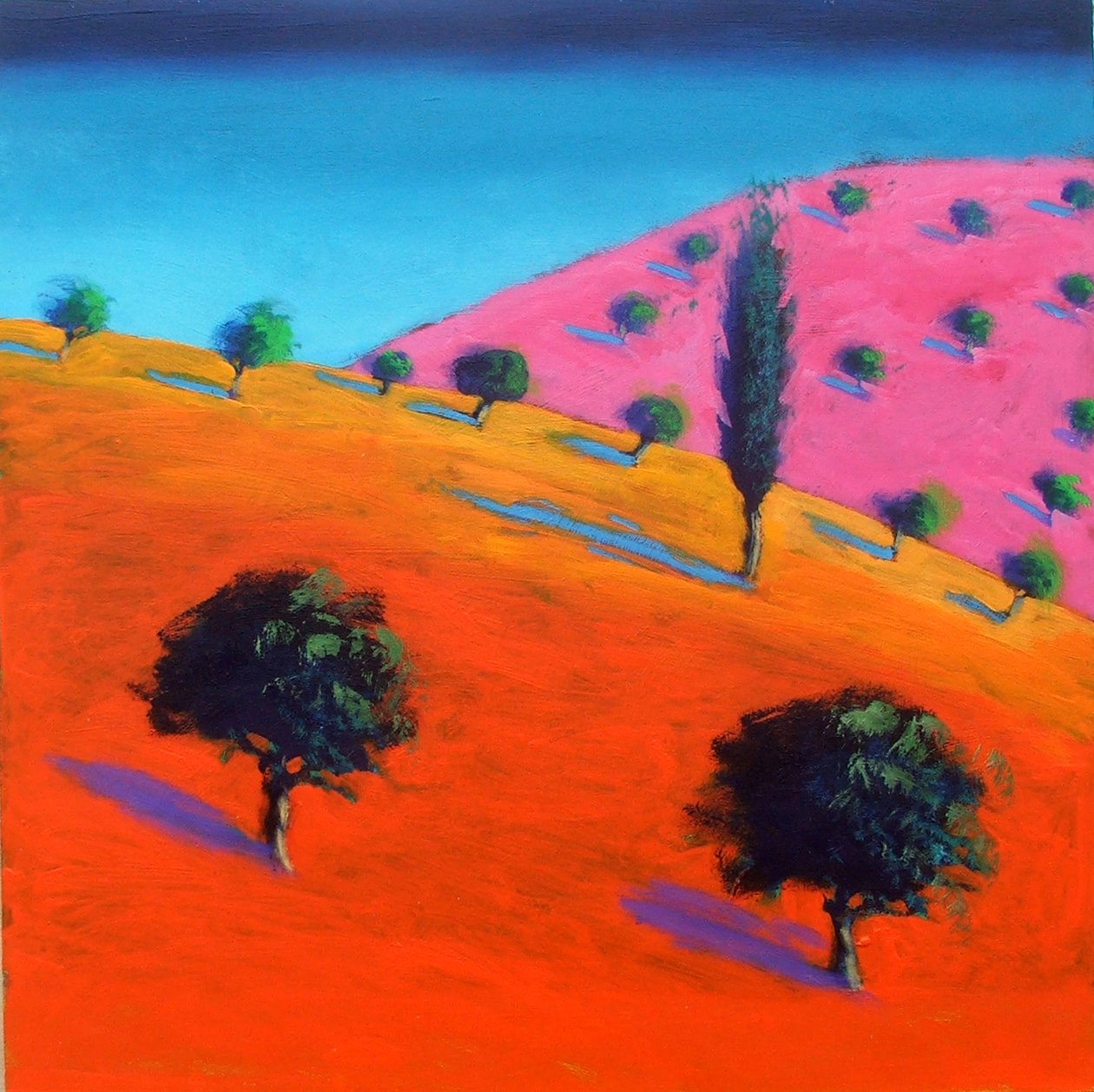 Pink Hill (akryl na kartě) od Paul Powis