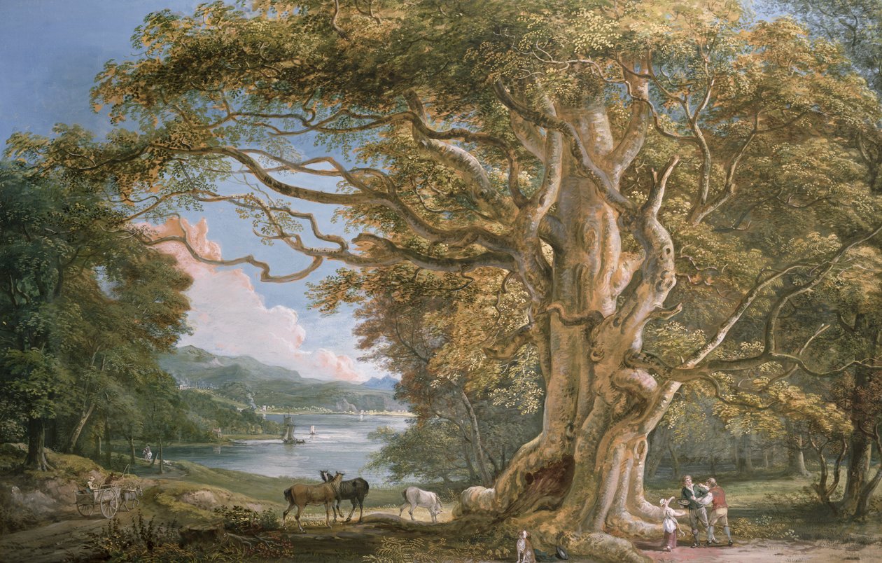 Starověký buk od Paul Sandby