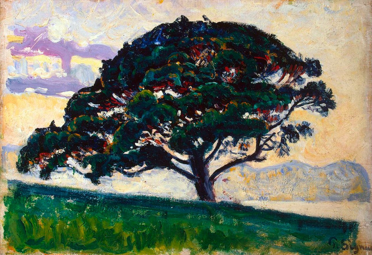 Velká borovice, Saint-Tropez, 1892-1893. od Paul Signac
