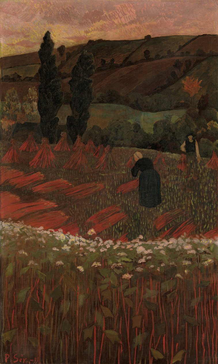 Sklizeň pohanky, 1899. od Paul Sérusier