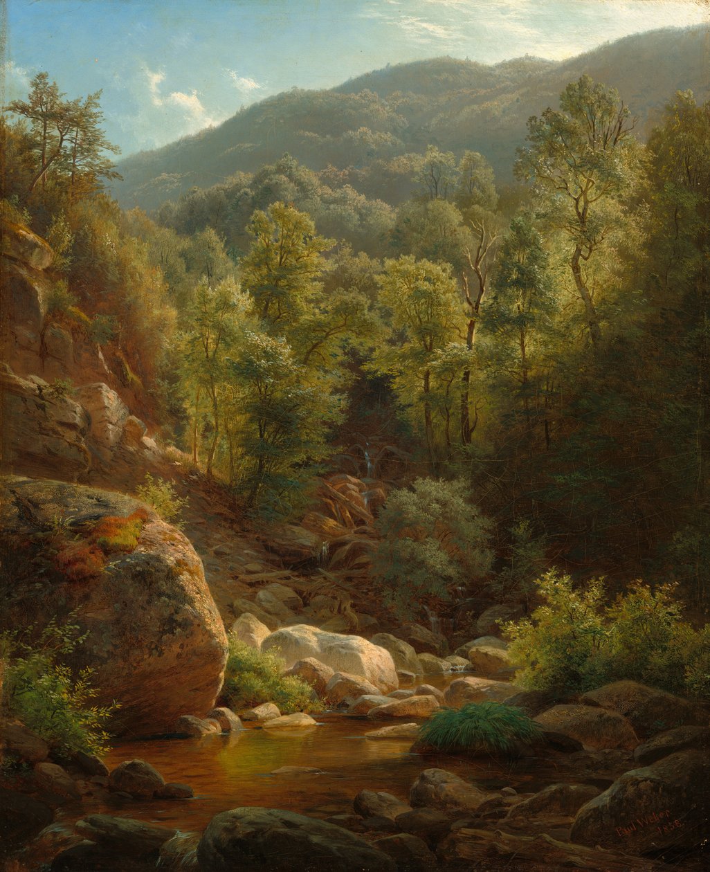 Scéna v Catskills, 1858. od Paul Weber