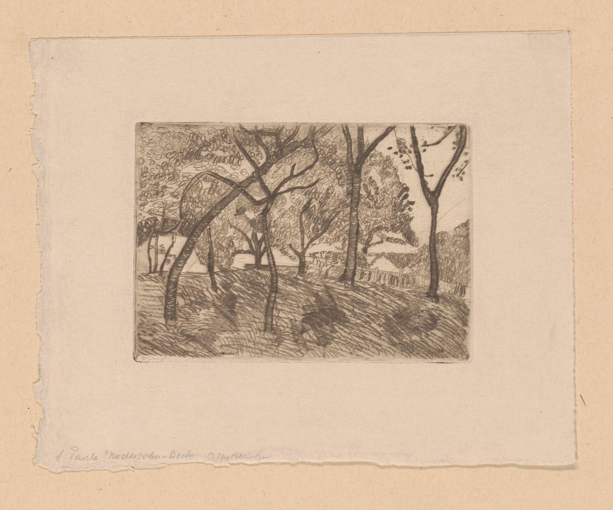 výhled na les od Paula Modersohn Becker (signed by artist)