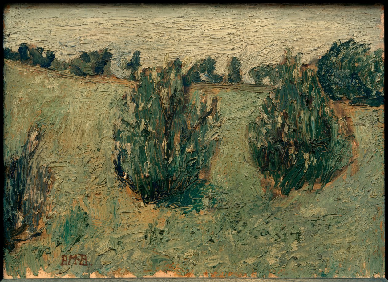 Krajina s borovicemi od Paula Modersohn Becker